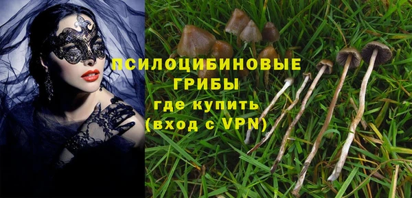 jwh Саяногорск